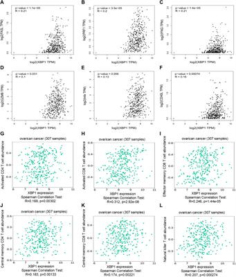 X-box Binding Protein 1 is a Potential Immunotherapy Target in Ovarian Cancer